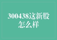 300438新股分析：挖掘潜力与风险并存的投资机会