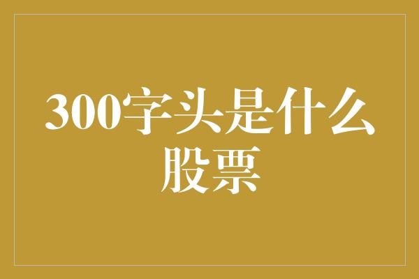 300字头是什么股票