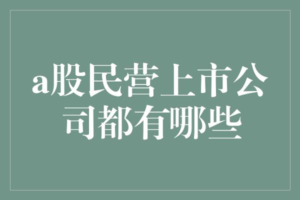 a股民营上市公司都有哪些