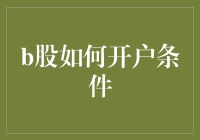 B股账户开户条件：入门指南与专业见解