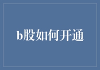 B股开通之路：一场西游记式的历险记