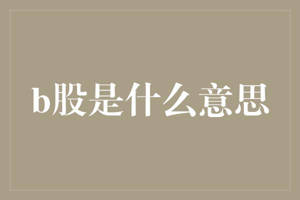 b股是什么意思