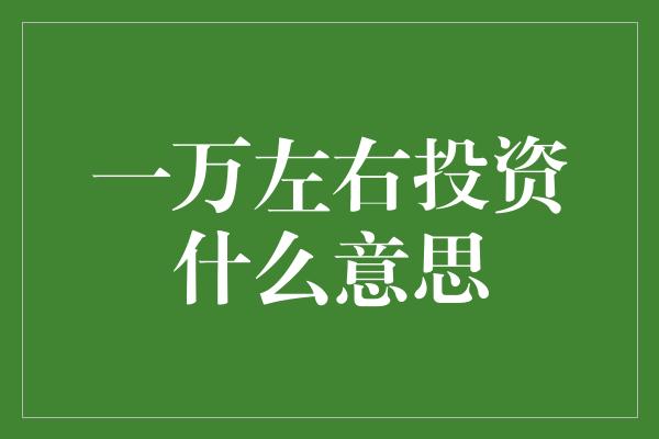 一万左右投资什么意思