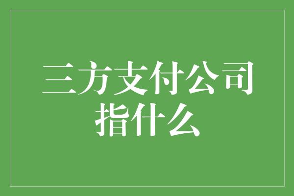 三方支付公司指什么