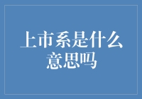 上市系：企业资源网络与市场优势构建