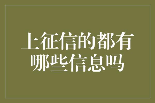 上征信的都有哪些信息吗