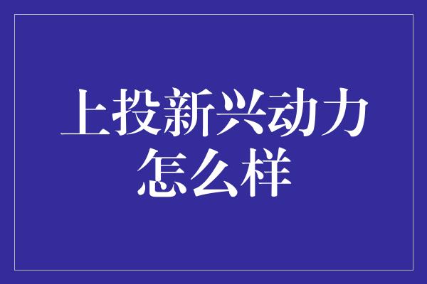 上投新兴动力怎么样