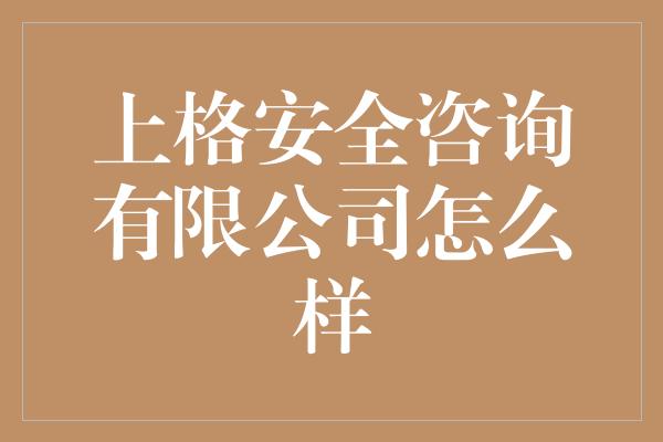 上格安全咨询有限公司怎么样