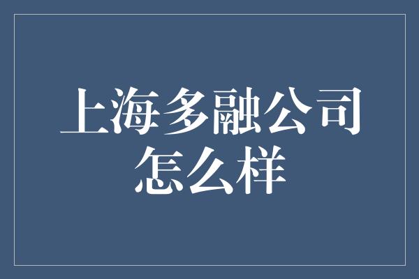 上海多融公司怎么样