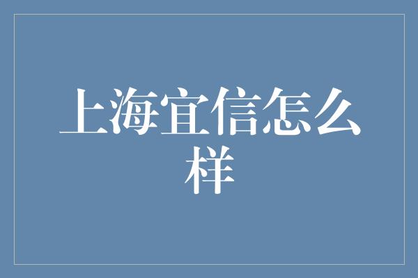 上海宜信怎么样