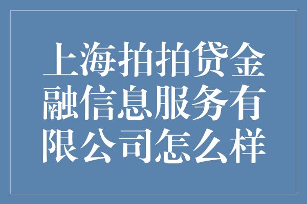 上海拍拍贷金融信息服务有限公司怎么样