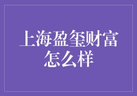 上海盈玺财富：深度解读财富管理新势力