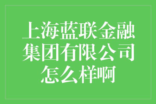 上海蓝联金融集团有限公司怎么样啊