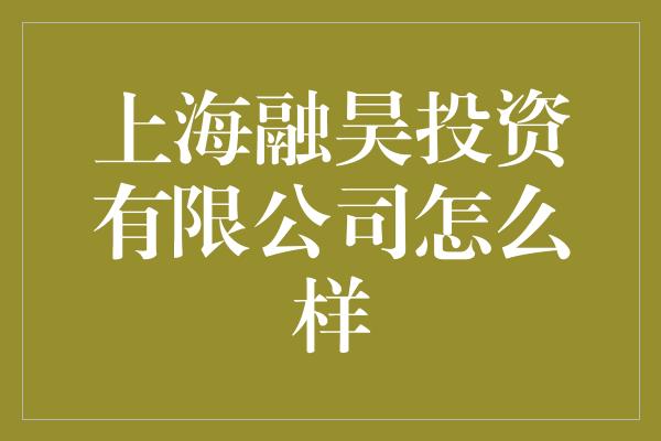 上海融昊投资有限公司怎么样