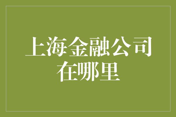 上海金融公司在哪里