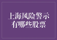 上海证券交易所风险警示板有什么股票？