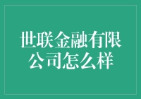 世联金融有限公司：引领金融行业的创新者