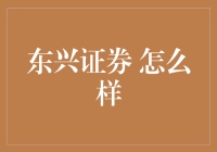 东兴证券：金融市场的稳健领航者