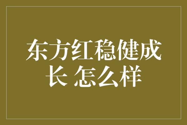 东方红稳健成长 怎么样