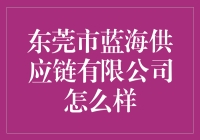 东莞市蓝海供应链有限公司：打造供应链管理的新篇章