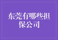 东莞担保公司盘点：助力企业发展