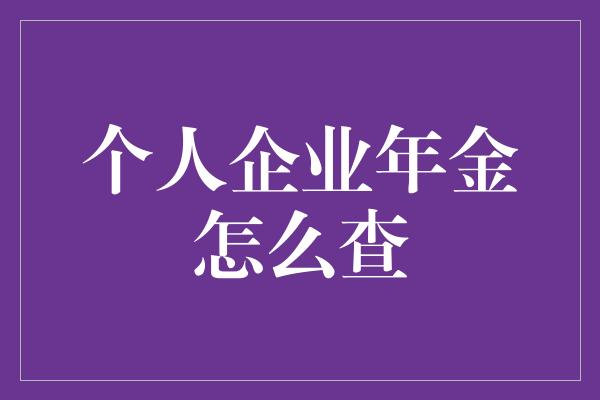 个人企业年金怎么查