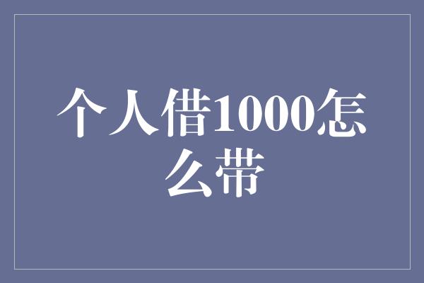 个人借1000怎么带