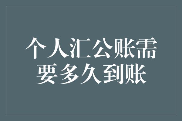 个人汇公账需要多久到账