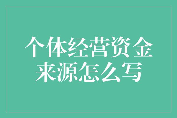 个体经营资金来源怎么写