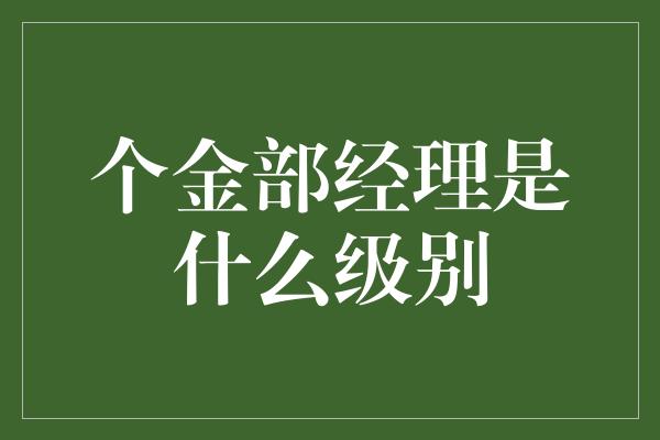 个金部经理是什么级别