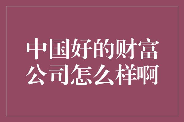 中国好的财富公司怎么样啊