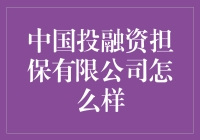 中国投融资担保有限公司：助力中小企业发展的金融守护者