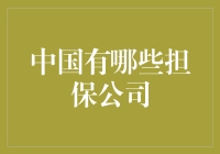 你猜，中国那些担保公司都是干嘛的？