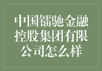 中国镭驰金融控股集团有限公司：打造金融科技创新高地