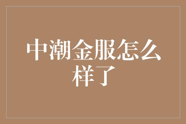 中潮金服怎么样了