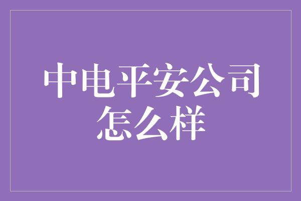 中电平安公司怎么样