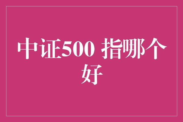 中证500 指哪个好