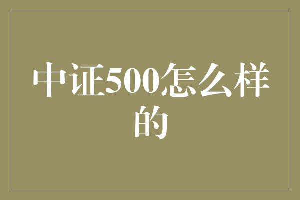 中证500怎么样的