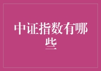 中证指数体系的多元化与投资策略