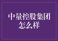 中量控股集团究竟怎样？探究其发展潜力与挑战