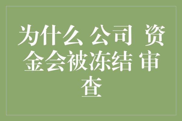 为什么 公司  资金会被冻结 审查