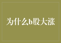 投资界新手的自我修养：为什么B股的大涨让我激动得直拍大腿