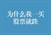 为啥我一买股票它就跌？揭秘投资初学者的常见误区