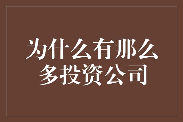 为什么有那么多投资公司