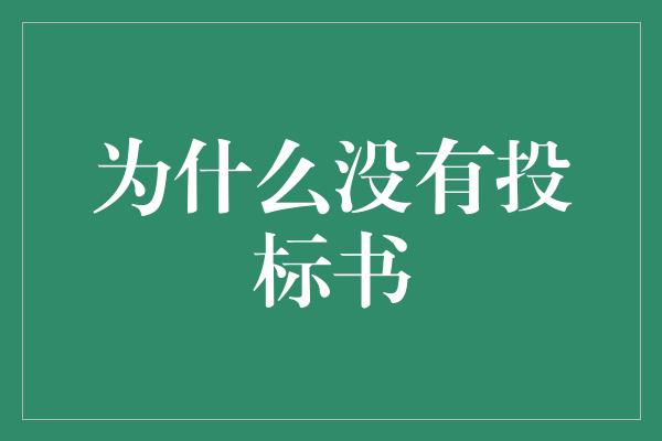 为什么没有投标书