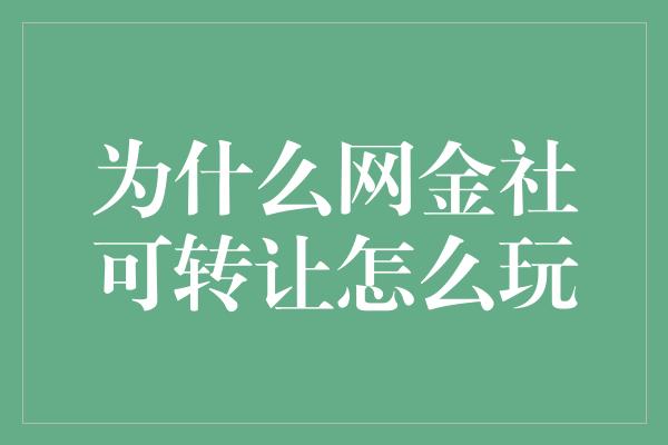 为什么网金社可转让怎么玩