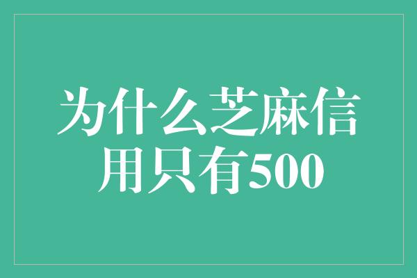 为什么芝麻信用只有500