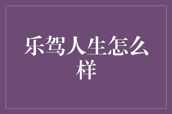 乐驾人生怎么样