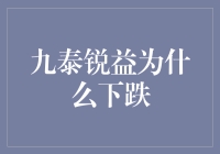 九泰锐益基金下跌背后：市场调整与策略反思