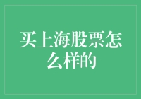 上海股票市场投资分析：多样化机遇与风险并存